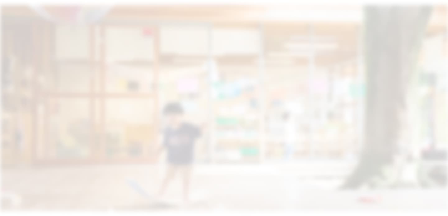 猫は最高に可愛い